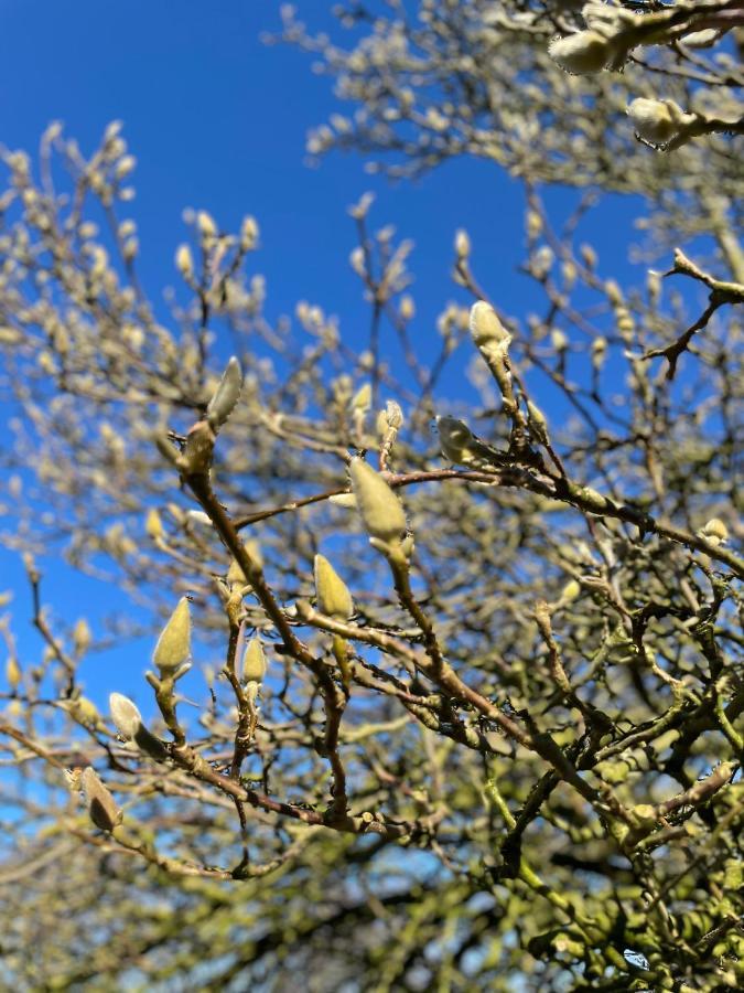 Feriehus I Skon Natur Stenstrup Zewnętrze zdjęcie