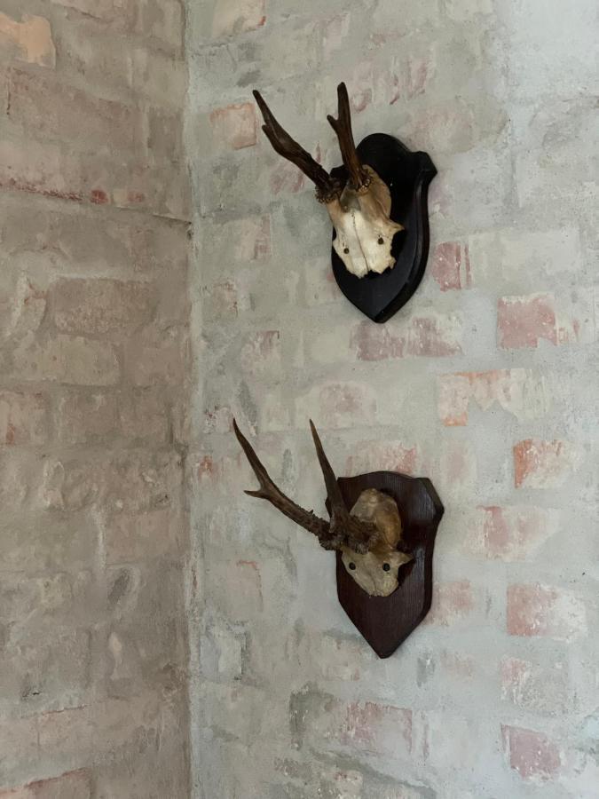 Feriehus I Skon Natur Stenstrup Zewnętrze zdjęcie