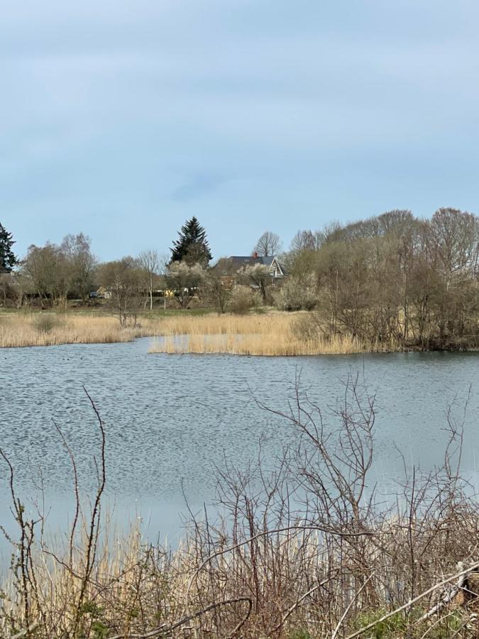 Feriehus I Skon Natur Stenstrup Zewnętrze zdjęcie