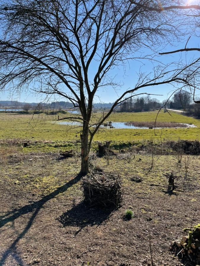 Feriehus I Skon Natur Stenstrup Zewnętrze zdjęcie