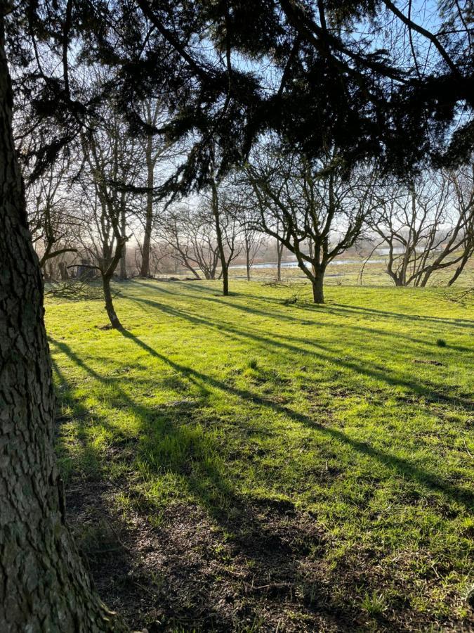 Feriehus I Skon Natur Stenstrup Zewnętrze zdjęcie