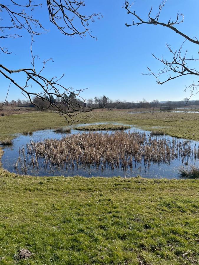 Feriehus I Skon Natur Stenstrup Zewnętrze zdjęcie